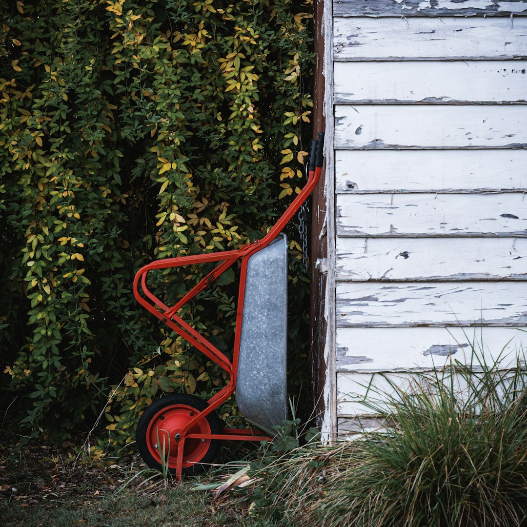 Garden & Outdoor